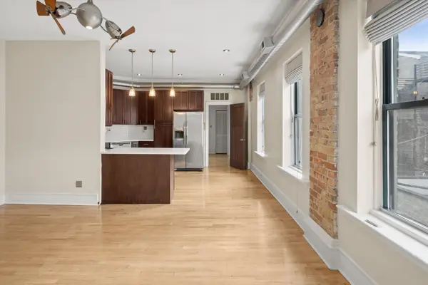 1117 W Fry ST #5, Chicago, IL 60642
