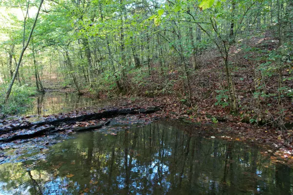 2029 Sugar Ridge Rd, Spring Hill, TN 37174