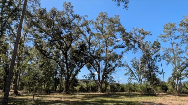 10591 160TH ST, Mc Alpin, FL 32062