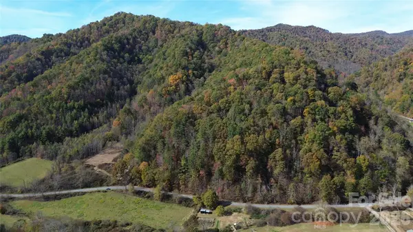 1045 Foster Creek RD, Marshall, NC 28753