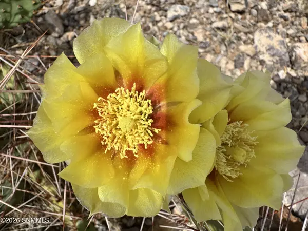 TBD Hardrock RD, Las Cruces, NM 88011