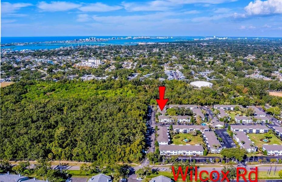 13125 WILCOX RD #16202, Largo, FL 33774