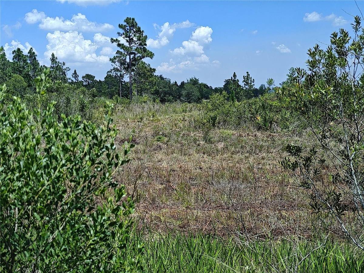 SHAKEDOWN ST, St Cloud, FL 34773
