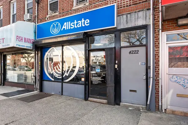4222 Avenue D, Brooklyn, NY 11203