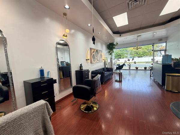 1081 Willis AVE, Albertson, NY 11507