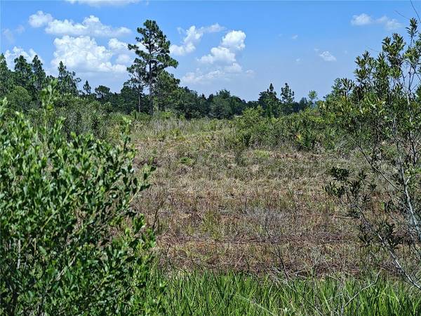 SHAKEDOWN ST, St Cloud, FL 34773