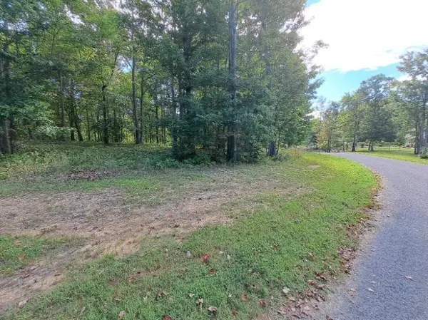 0 Roaring Creek Road, Dunlap, TN 37327