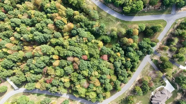 0 Roaring Creek Road, Dunlap, TN 37327