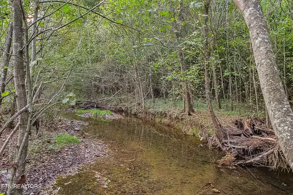 142 Lambdin Rd, Maynardville, TN 37807