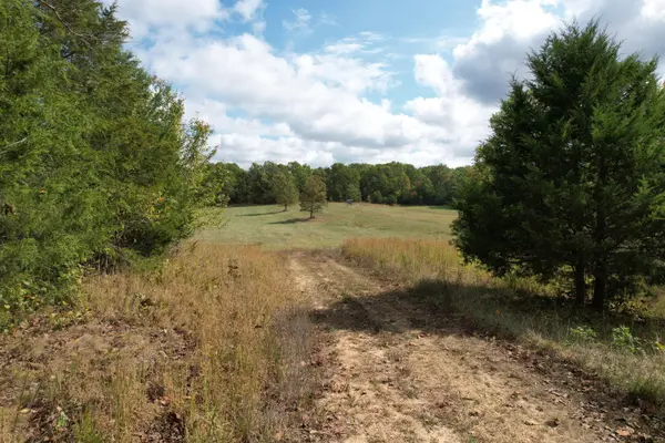 000 County Road 3850, Peace Valley, MO 65788