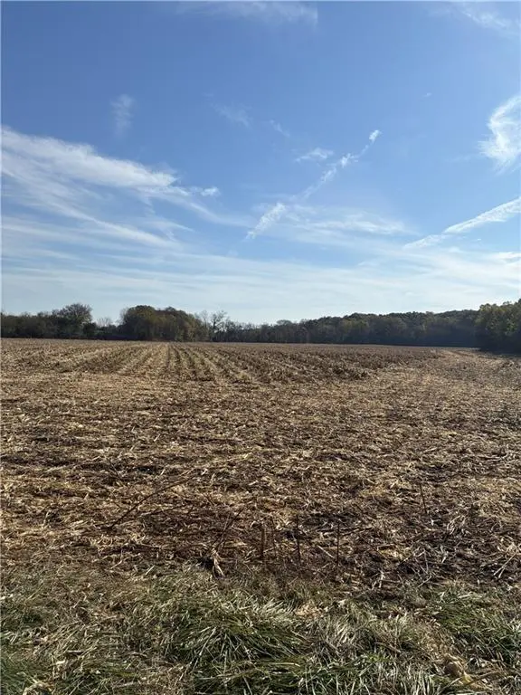 5899 SE Cheifs RD, Cowgill, MO 64637