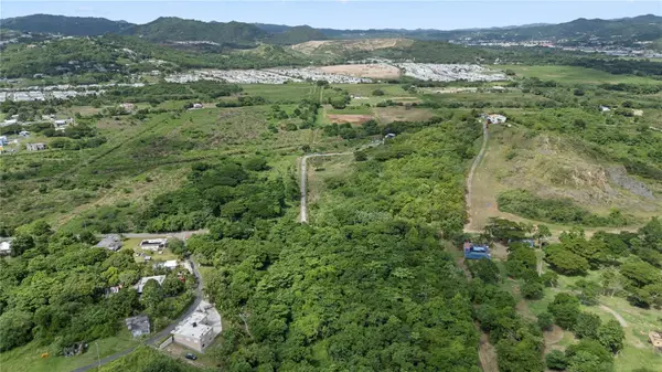 BO. BUENA VISTA, Humacao, PR 00791