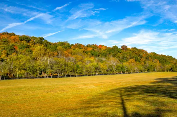 0 Robinson Rd, Thompsons Station, TN 37179