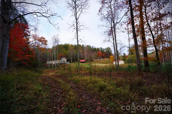 1239 W McGuinn RD, Mill Spring, NC 28756