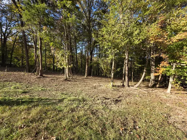 0 Elklore Avenue, Estill Springs, TN 37330