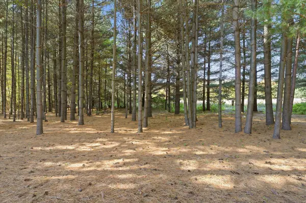 37298 Heritage WAY, North Branch, MN 55056