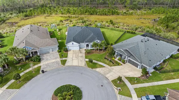 16160 NOVEMBER RAIN CT, Land O Lakes, FL 34638