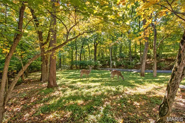 2485 Wild Valley DR, High Ridge, MO 63049