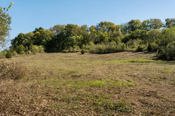 3910 Charon Ln, Thompsons Station, TN 37179