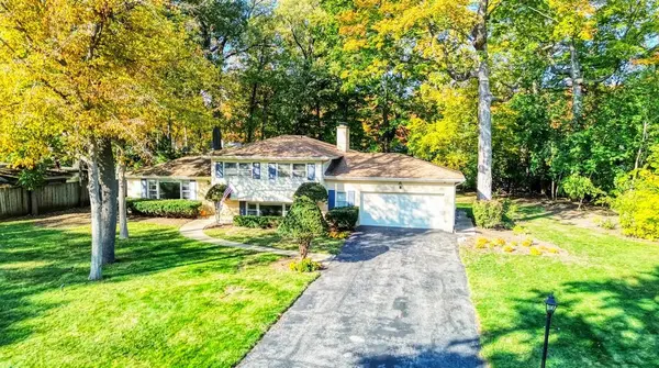262 E Forest LN, Palatine, IL 60067