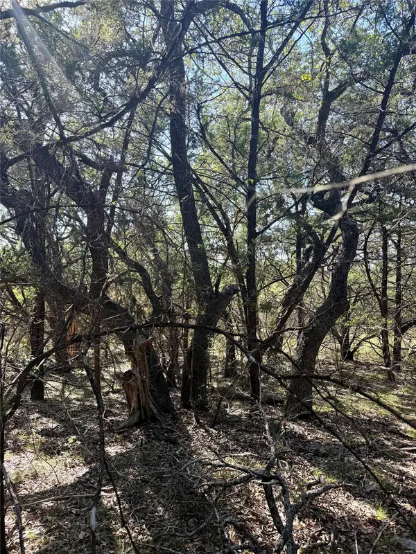 905 Mimosa CT, Fischer, TX 78623
