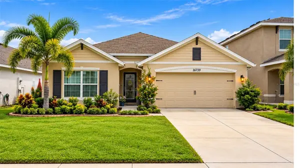 16739 SUNBURST LAKE ST, Wimauma, FL 33598