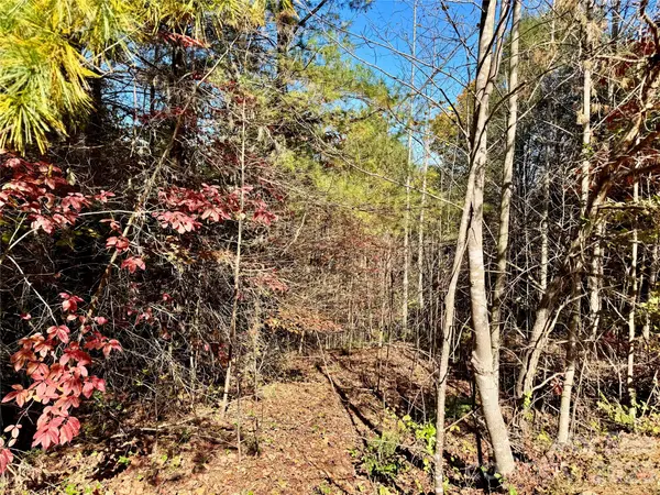 6.09 acres, Lot 136/137 Johns Ridge Pkwy #136/137, Lenoir, NC 28645