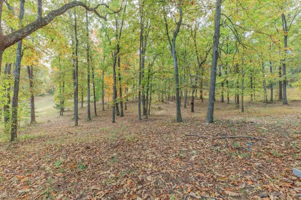 361 Sutton Drive, Ringgold, GA 30736