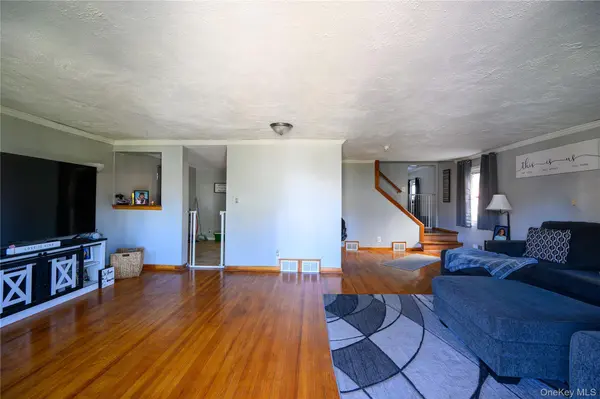 203 Holly AVE, Hempstead, NY 11550