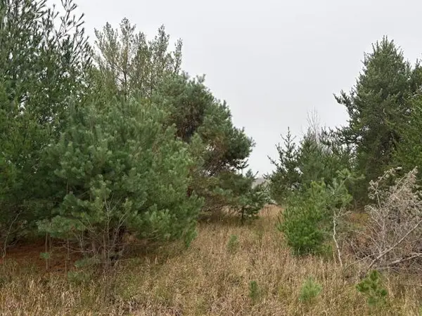 TBDxx Overland DR, Browerville, MN 56438