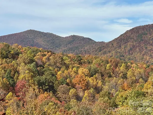 TBD Burnt Ridge TRL, Black Mountain, NC 28711