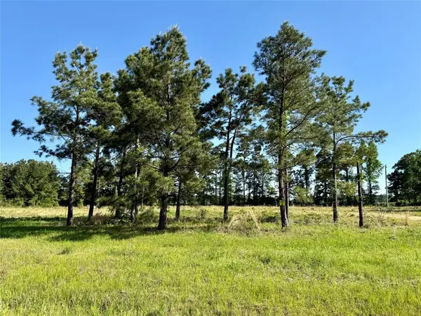 105 Faith Plantation Drive #3, Princeton, LA 71067