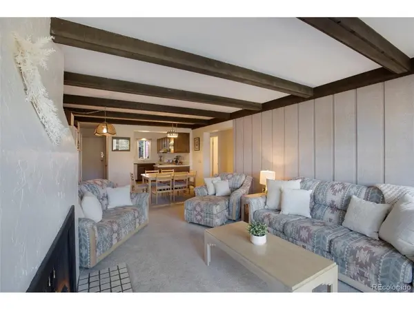 21 Buffalo #219, Silverthorne, CO 80498