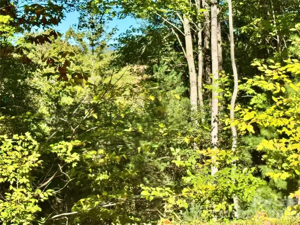 Lot 35, Poplar Bluff DR #35, Lenoir, NC 28645