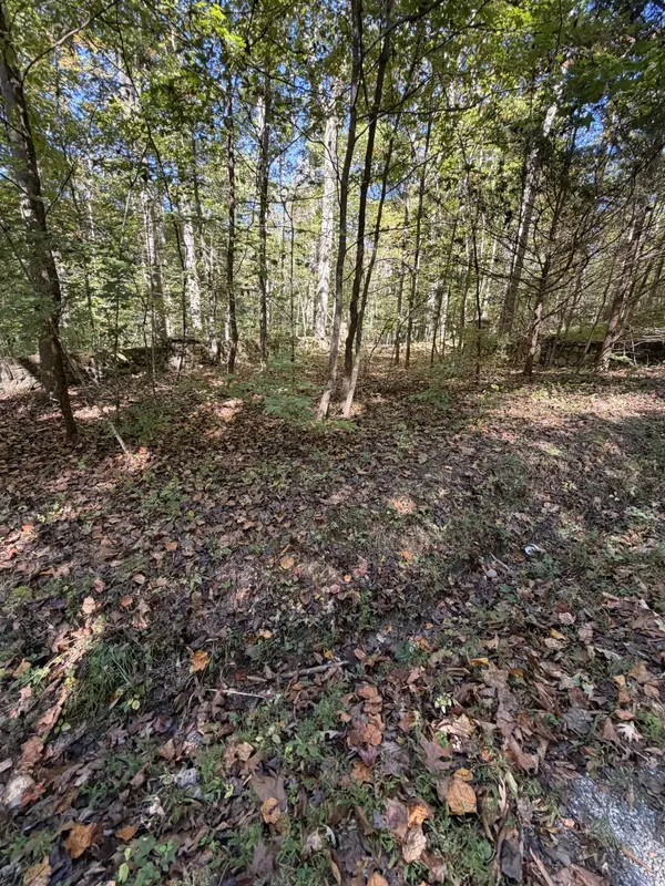 0 Big Marrowbone Rd, Joelton, TN 37080