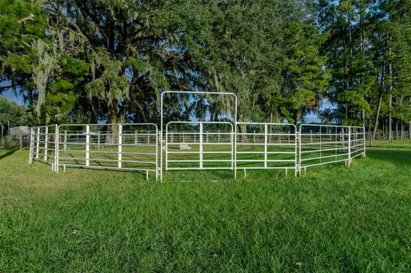 3019 SE 90TH AVE, Newberry, FL 32669