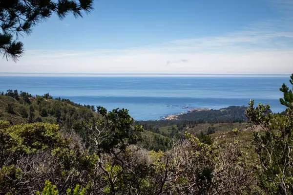 Carmel, CA 93923,3400 Red Wolf DR