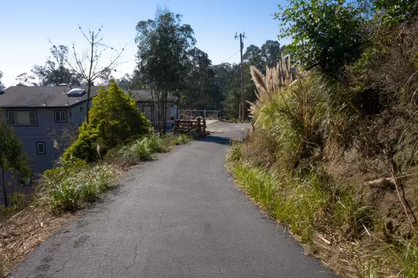 El Granada, CA 94019,000 Dolphine