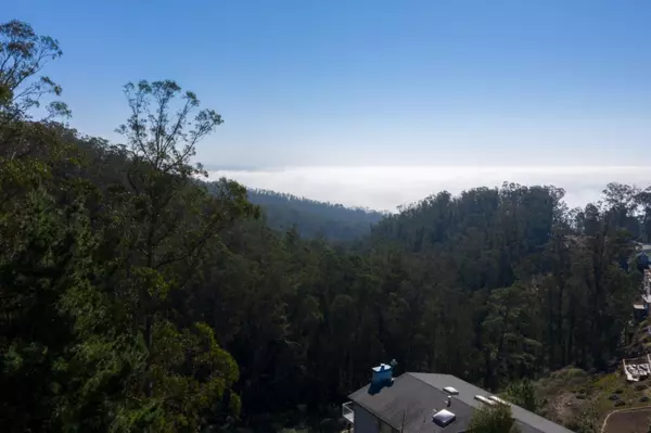 El Granada, CA 94019,000 Dolphine