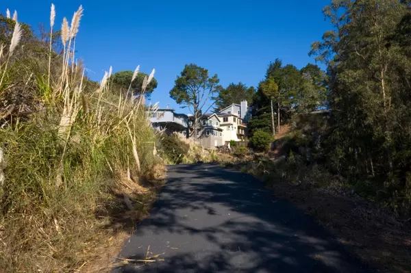 El Granada, CA 94019,000 Dolphine