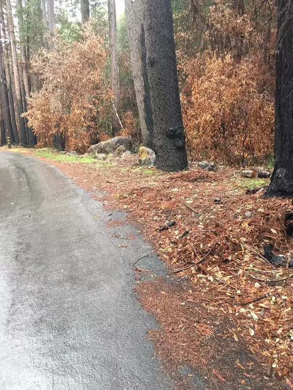 Boulder Creek, CA 95006,VACANT JAMISON CREEK ROAD