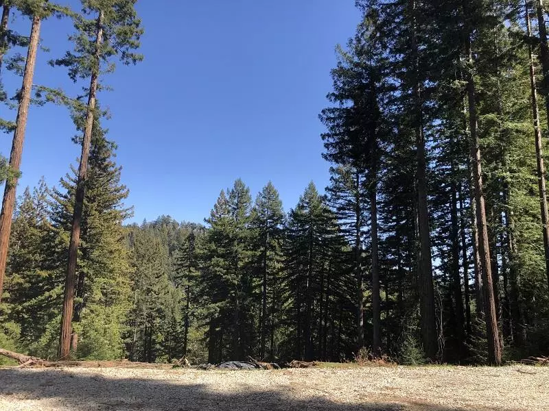 Boulder Creek, CA 95006,0 Little Buck RD