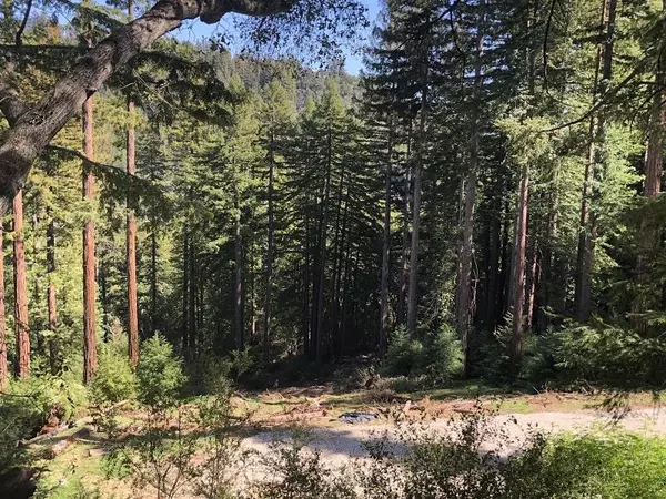 Boulder Creek, CA 95006,0 Little Buck RD