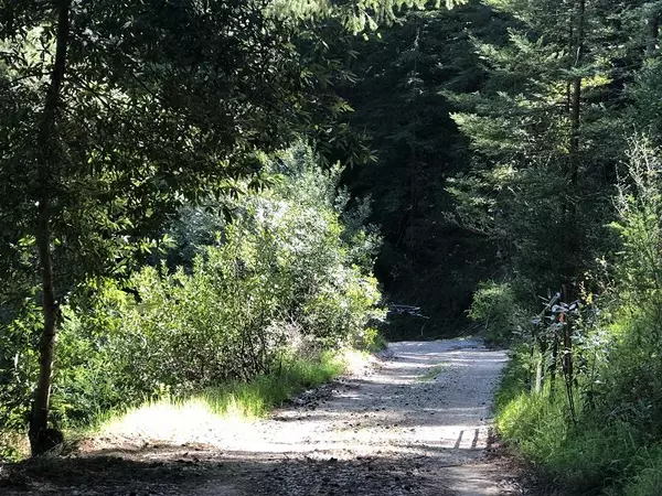 Boulder Creek, CA 95006,0 Little Buck RD