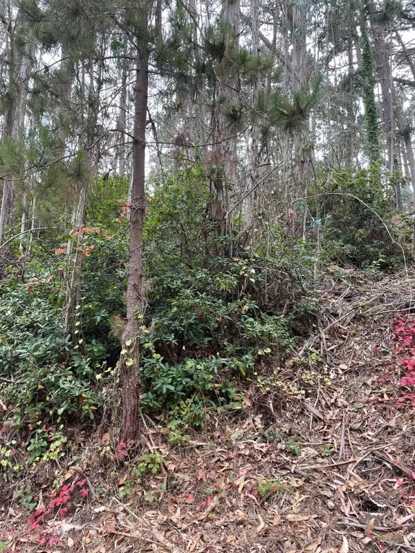 El Granada, CA 94018,00 Del Monte RD