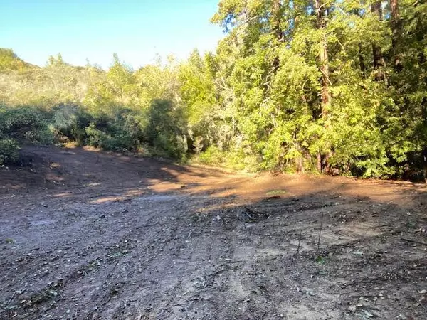Gilroy, CA 95020,00 Murphy Canyon Road