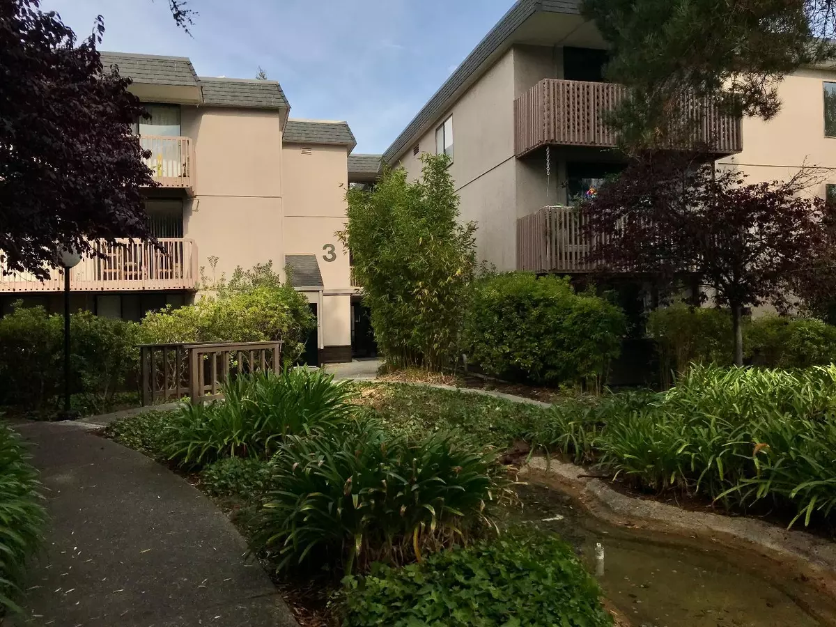 San Bruno, CA 94066,3301 Shelter Creek LN