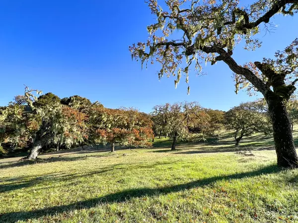 Carmel Valley, CA 93923,14 Vasquez TRL