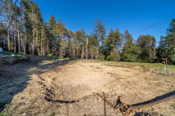 Boulder Creek, CA 95006,793 Pinecrest DR