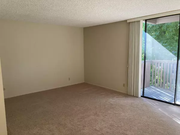 San Bruno, CA 94066,6257 Shelter Creek LN